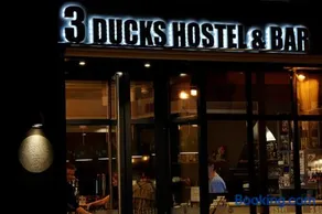 3 Ducks Hostel - Image 3