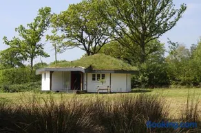 Buzzard's Nest Glamping Oak - Image 1