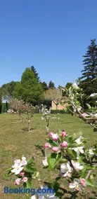 L'ormeau - Image 3