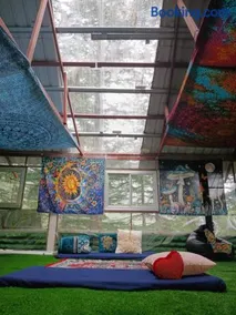Shiv Shalom - Image 3