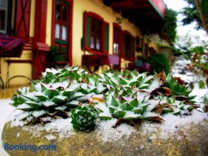 Garten Vendégház - Image 3