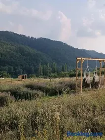 La Locanda Del Molino - Image 2
