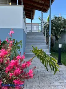 Ada's House 2 - Image 2