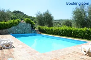 La casina degli olivi - Image 3