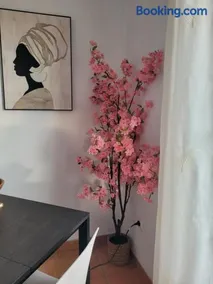Casa PePe - Image 3
