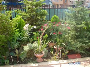 Summer Breeze Apartments - Image 2