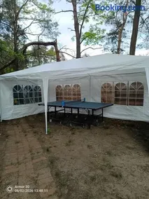 Dream Forest Cabin -dom w lesie pod Warszawą - Image 5