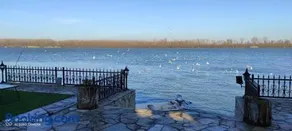 Vila Orešac - Image 4