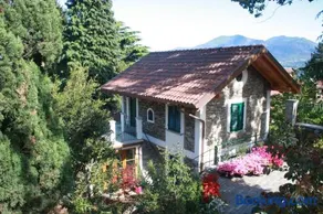 La Camelia d'Oro - Image 1