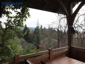 Chata Mioduszyna - drewniany dom z kominkiem - Beskid Makowski - duża działka i klimatyczny dom przy lesie na wyłączność - Jezioro Mucharskie - widok na Babią Górę - siedlisko - cisza i spokój - Image 2