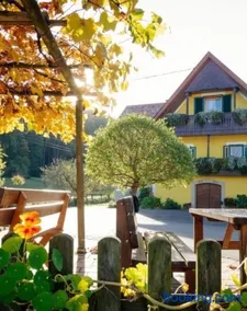 Weingut Albrecher vlg. Sraka - Image 2