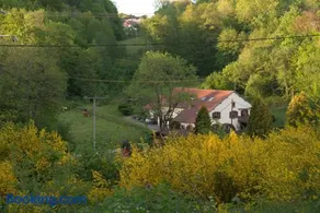 Vacance conviviales dans les Vosges 8 Gîtes - Image 2
