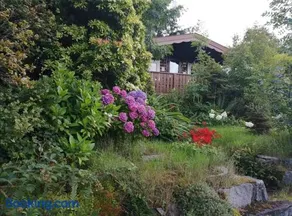 Spyder Ranch - Image 5