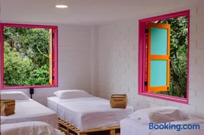 Isla de pascua - Jardín - Hostel - Image 2
