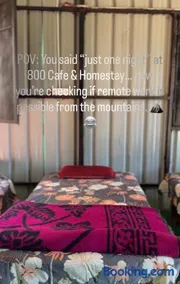 800 cafe & home stay - Image 4