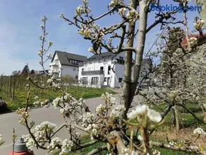 Haus Agatha - Image 3