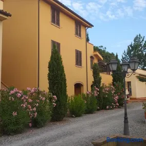PICCI HOUSE - Image 3