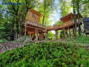 La Cabane dans les arbres du Domaine de la Forestière - Image 1