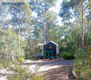 Tiny in the Trees - Image 5