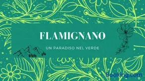 Flamignano: un paradiso nel verde - Image 2