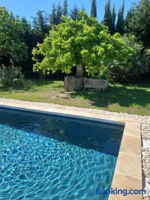 Le Petit Mas des Alpilles Provence piscine partagée - Image 3