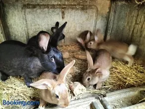 Charmant appartement à la ferme - Image 2