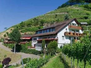 Transylvania House Glottertal - Image 1