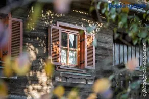 Streuobsthof Weissenbacher - Image 3