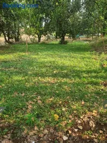 Surya farms - Image 3
