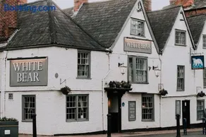 The White Bear - Image 2