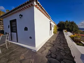 Juana Quinta - Image 4