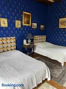 Château de la Thibaudière Bois Savary - Chambre familiale du Roi - Image 2