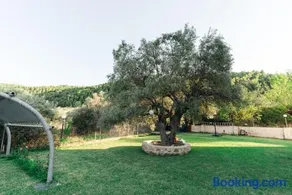 Family Villas - Image 1