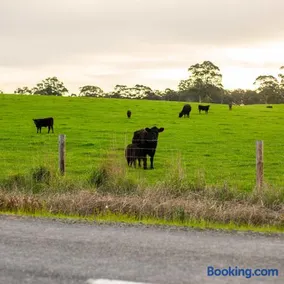 The Old Farm Cottage, Mount Torrens - Image 2