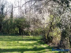 le jouc - Image 4