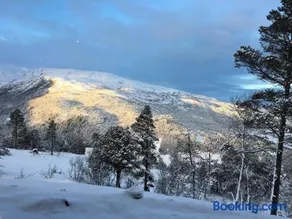 Bordalen-Voss - Image 5
