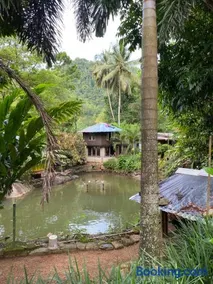 Farm House Villa - Image 4