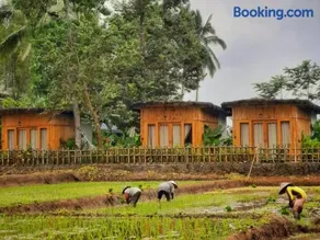Sawah Ijen - Image 5