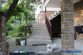BELLA VISTA BOLOGNESE - Image 1
