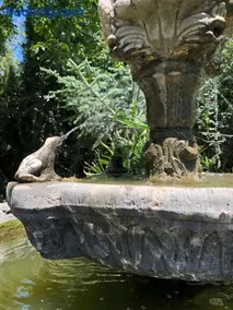 El Edén de Cazorla - Image 5