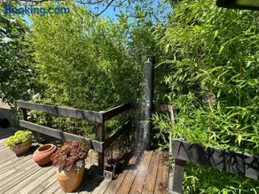 Green village - Image 1