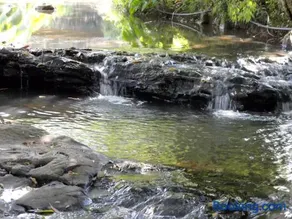 Casa no Campo Caminho do Salto - Image 3