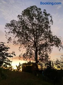 Happy Glamping Quindio - Tipo Domo Traslúcido - Image 5