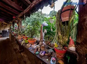 Apartamento en Plena Naturaleza - Image 3