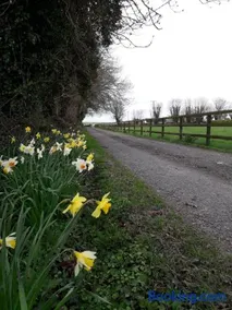 Wellfield Farmhouse - Image 2