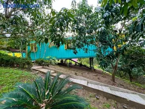 Casa campestre Namaste Entre La Mesa y Anapoima con piscina privada - Image 5