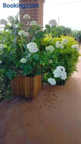 Villetta Giardino degli Ulivi - Image 2