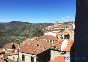 Delfino - Image 5