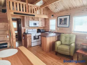 Cabin 3 Waterfront with Free Ramp Access and Fishing Piers - Image 3