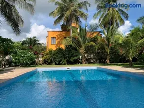 Lions Home - Image 5